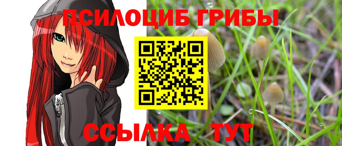 Псилоцибиновые грибы Magic Shrooms  Вход с VPN  Полевской  Галлюциногенные грибы Magic Shrooms 