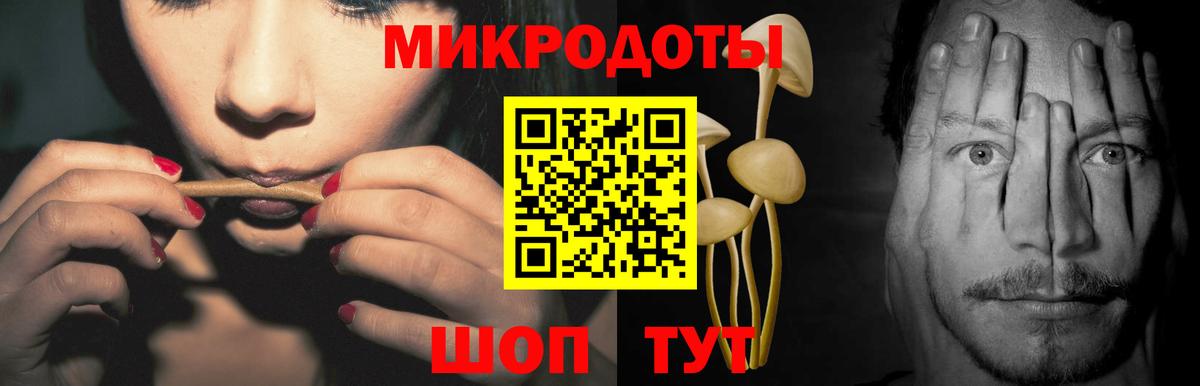 Псилоцибиновые грибы Magic Shrooms Полевской